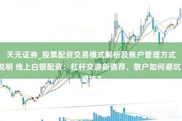 天元证券_股票配资交易模式解析及账户管理方式说明 线上白银配资：杠杆交游新遴荐，散户如何避坑？