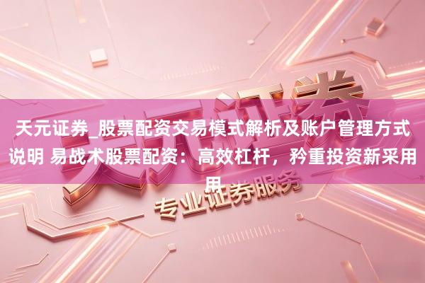 天元证券_股票配资交易模式解析及账户管理方式说明 易战术股票配资:高效杠杆,矜重投资新采用
