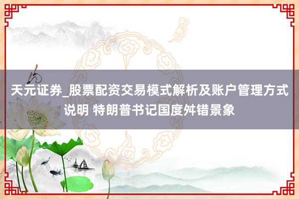 天元证券_股票配资交易模式解析及账户管理方式说明 特朗普书记国度舛错景象